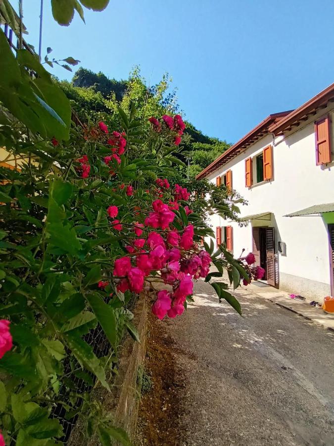 Villa Casolare Trombacco à Fabbriche di Vergemoli Extérieur photo